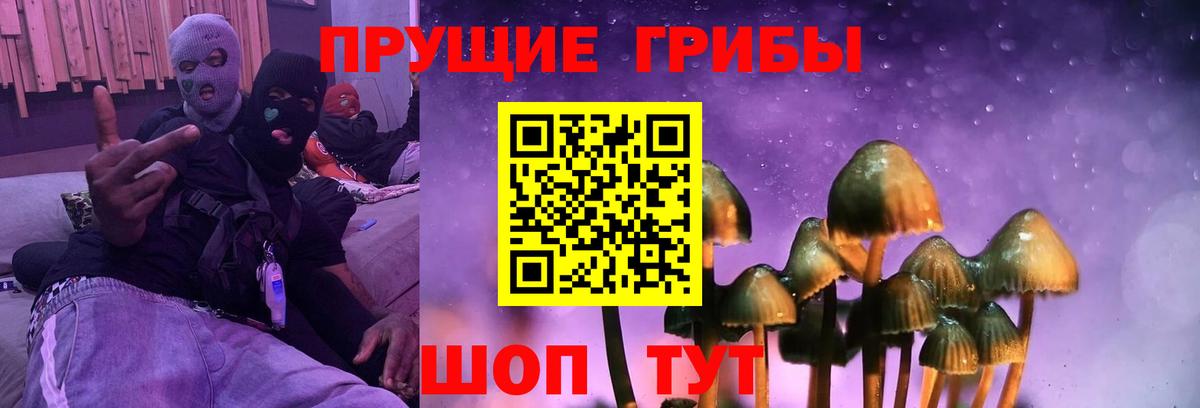 Протвино  Псилоцибиновые грибы Psilocybe  Псилоцибиновые грибы Cubensis  как найти закладки  Вход с VPN 