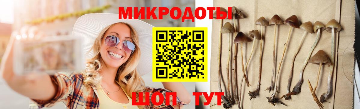 Галлюциногенные грибы мицелий Протвино